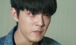 肖战八卦吃瓜娱乐,娱乐圈风云再起，八卦吃瓜背后的真相揭秘